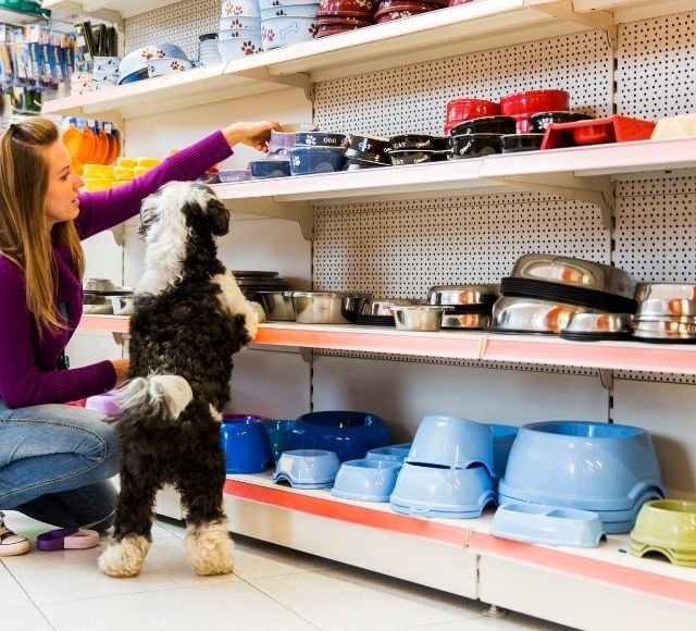 Best Pet Products Worth Buying